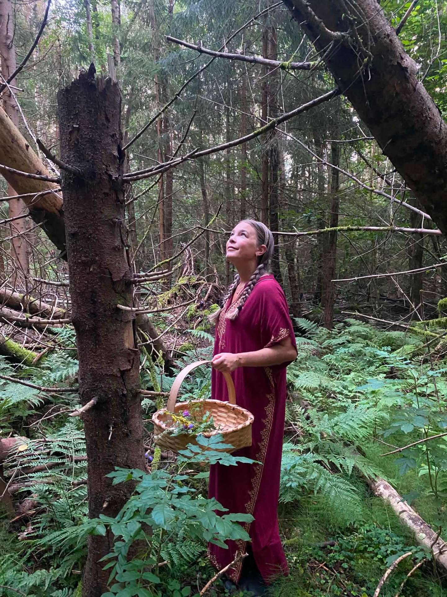 Sunniva i skogen med kurv full av urter